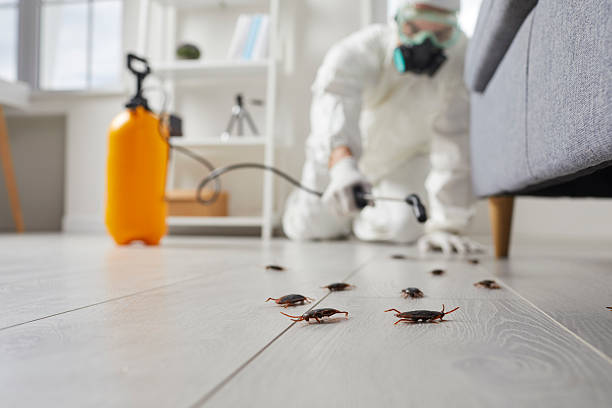 Trusted Emergency Pest Control service in Tresckow, PA - Nex Pest Control